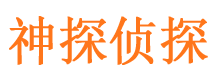 仙游侦探公司